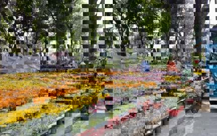 Những chợ hoa xuân đẹp, mua sắm Tết ở Sài Gòn