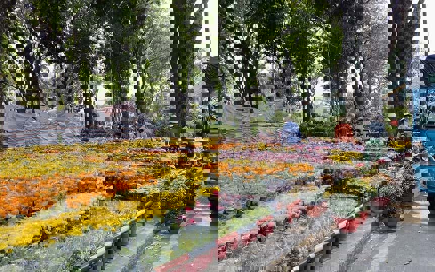 Những chợ hoa xuân đẹp, mua sắm Tết ở Sài Gòn