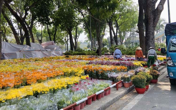 Những chợ hoa xuân đẹp, mua sắm Tết ở Sài Gòn Những chợ hoa xuân đẹp, mua sắm Tết ở Sài Gòn