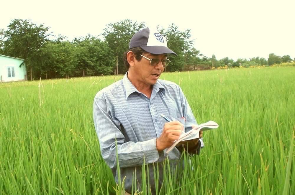 Kỹ sư hồ quang cua - gạo st25 an nam